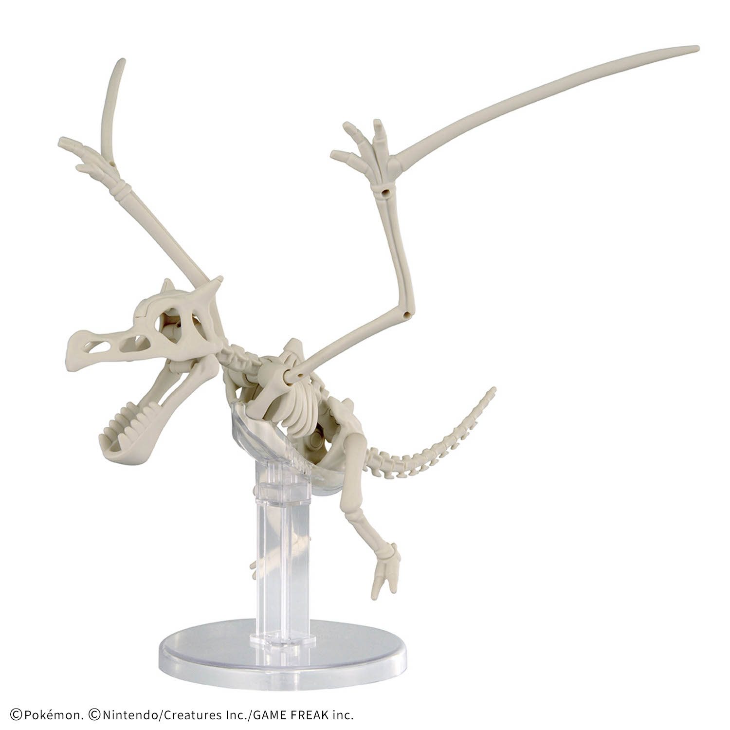 Bandai Pokemon Plastic Model D - đánh giá và giá Model Kit Waifu
