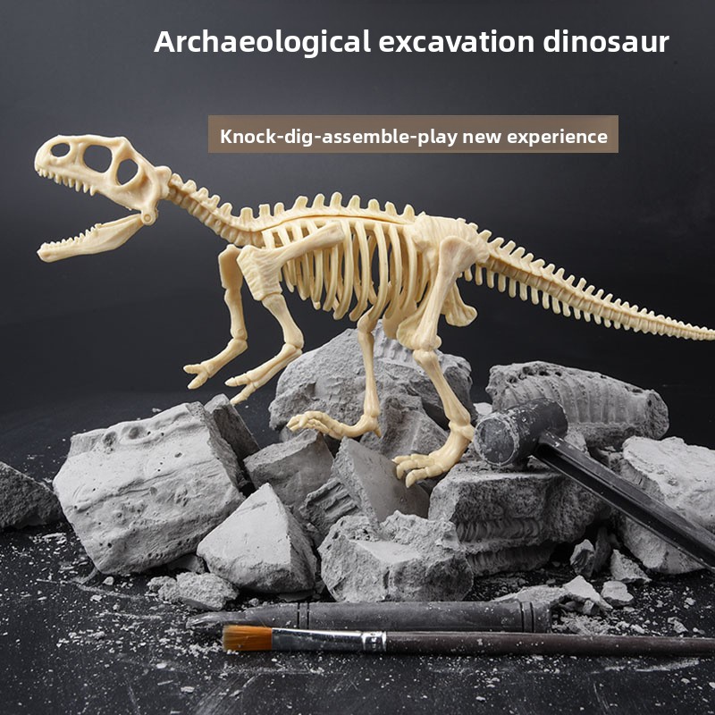 Dinosaur Fossil Excavation Kit - đánh giá và giá Model Kit For Girls
