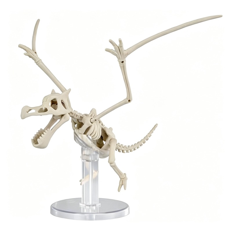 Bandai Pokemon Plastic Model D - đánh giá và giá Model Kit Waifu
